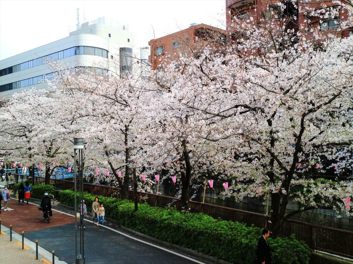 東京都Coto東京 渋谷6アパートメント エクステリア 写真